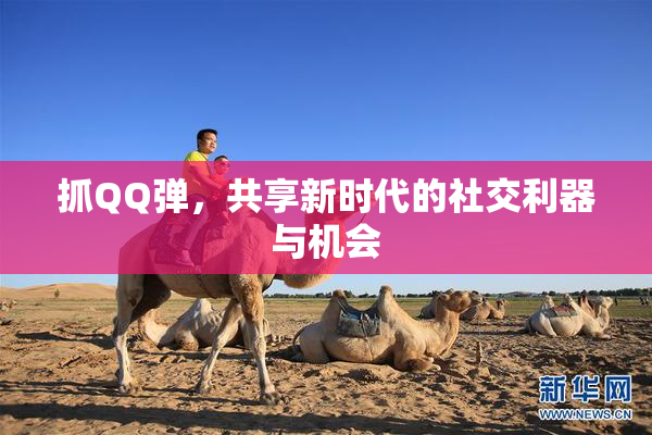 抓QQ弹，共享新时代的社交利器与机会