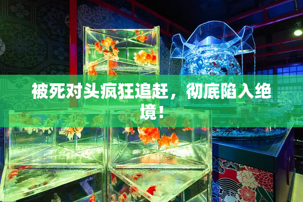 被死对头疯狂追赶，彻底陷入绝境！