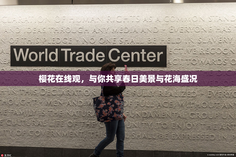 樱花在线观，与你共享春日美景与花海盛况