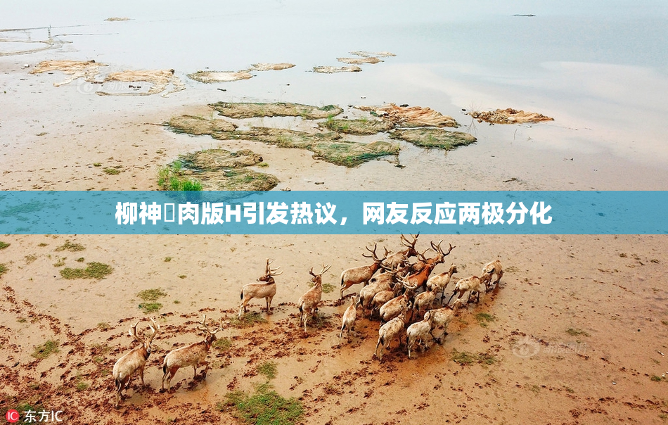 柳神婬肉版H引发热议，网友反应两极分化
