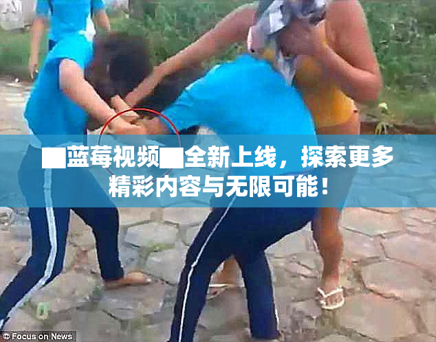 ▇蓝莓视频▇全新上线，探索更多精彩内容与无限可能！
