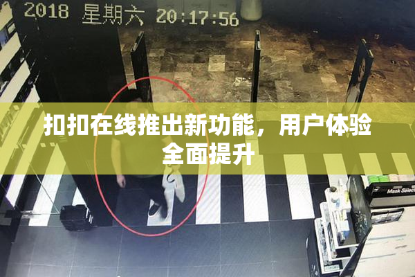 扣扣在线推出新功能，用户体验全面提升