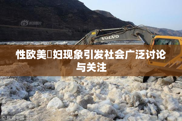 性欧美婬妇现象引发社会广泛讨论与关注