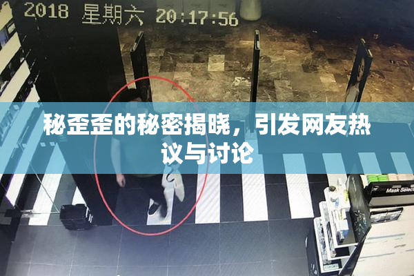 秘歪歪的秘密揭晓，引发网友热议与讨论