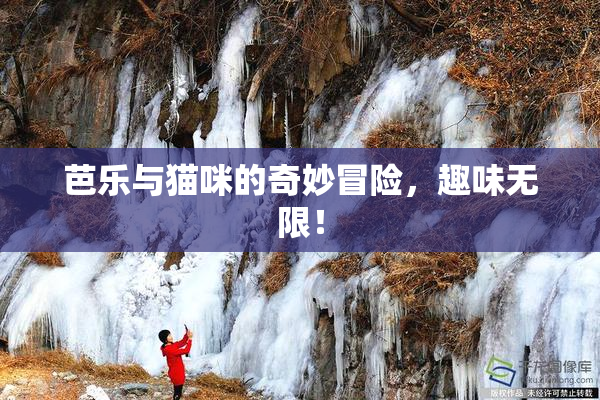 芭乐与猫咪的奇妙冒险，趣味无限！
