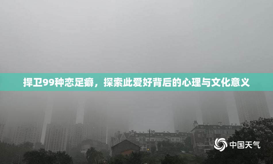 捍卫99种恋足癖，探索此爱好背后的心理与文化意义
