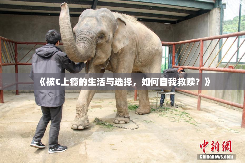 《被C上瘾的生活与选择，如何自我救赎？》