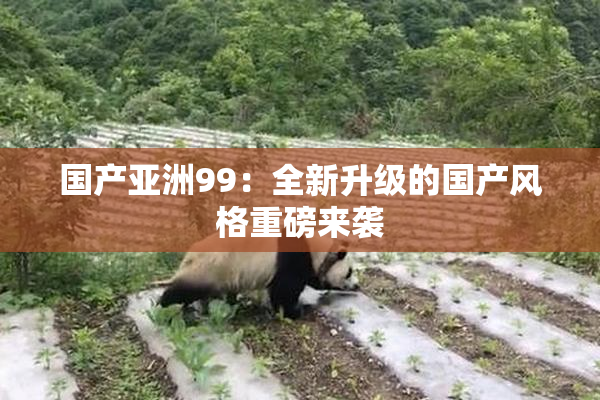 国产亚洲99：全新升级的国产风格重磅来袭