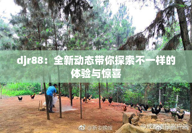 djr88：全新动态带你探索不一样的体验与惊喜