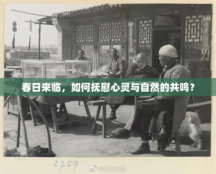 春日来临，如何抚慰心灵与自然的共鸣？