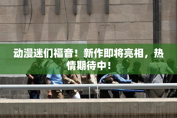 动漫迷们福音！新作即将亮相，热情期待中！