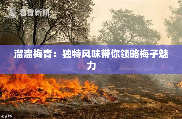 溜溜梅青：独特风味带你领略梅子魅力