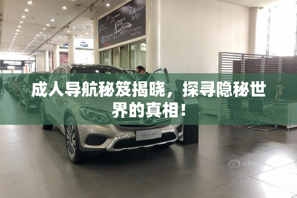 成人导航秘笈揭晓，探寻隐秘世界的真相！