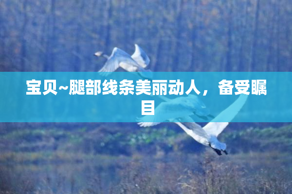 宝贝~腿部线条美丽动人，备受瞩目