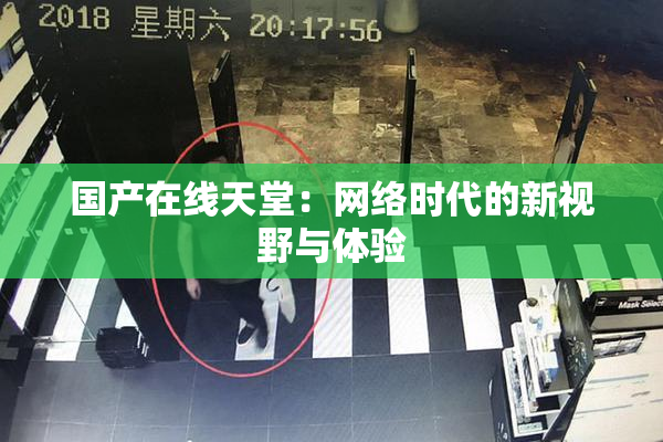 国产在线天堂：网络时代的新视野与体验