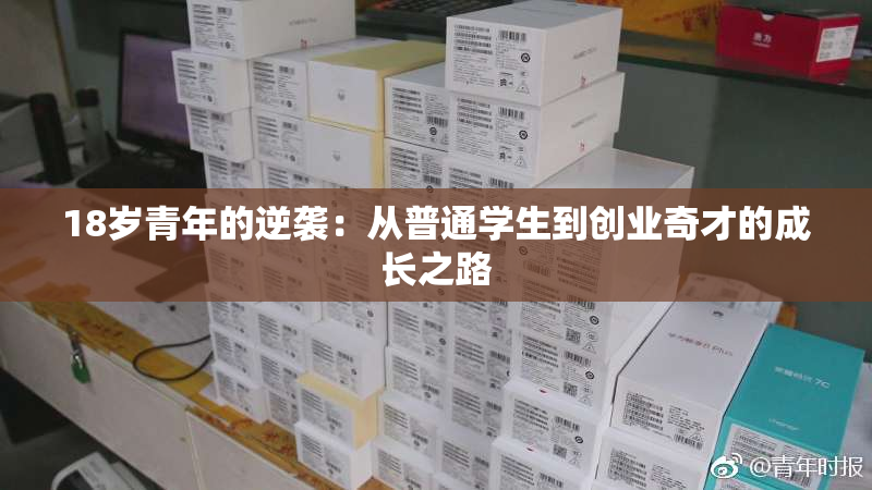 18岁青年的逆袭：从普通学生到创业奇才的成长之路