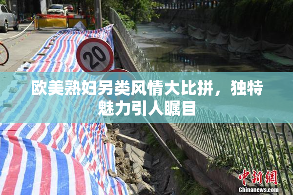 欧美熟妇另类风情大比拼，独特魅力引人瞩目