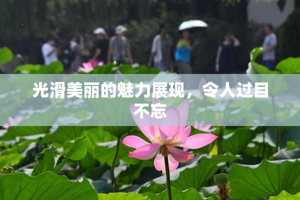光滑美丽的魅力展现，令人过目不忘