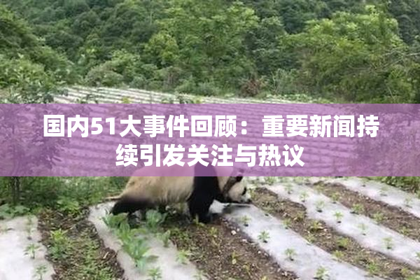 国内51大事件回顾：重要新闻持续引发关注与热议