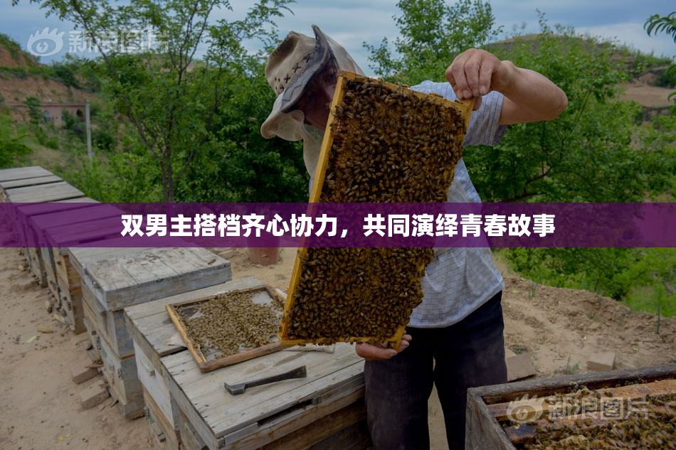 双男主搭档齐心协力，共同演绎青春故事