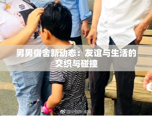 男男宿舍新动态：友谊与生活的交织与碰撞