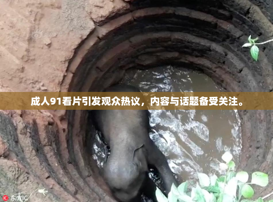 成人91看片引发观众热议，内容与话题备受关注。