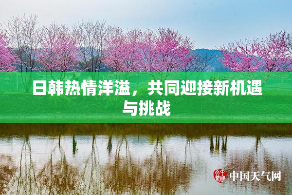 日韩热情洋溢，共同迎接新机遇与挑战
