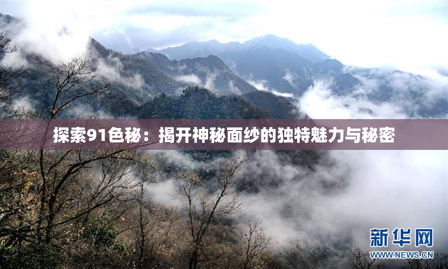 探索91色秘：揭开神秘面纱的独特魅力与秘密