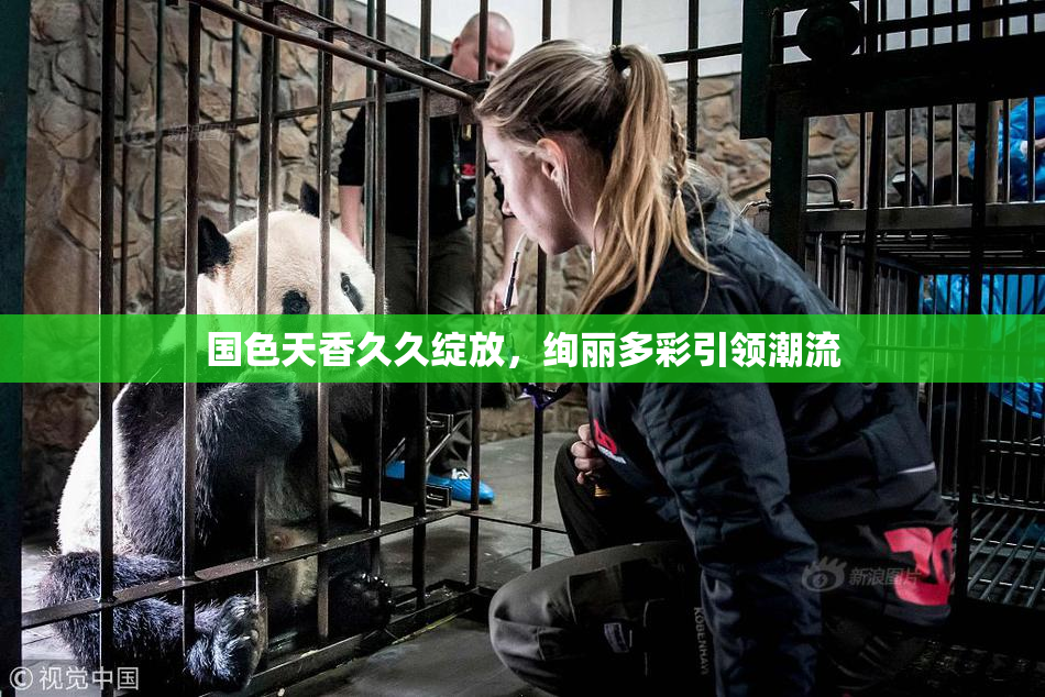国色天香久久绽放，绚丽多彩引领潮流