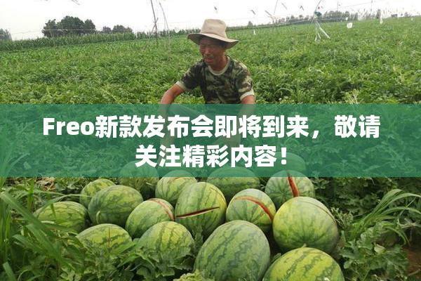 Freo新款发布会即将到来，敬请关注精彩内容！