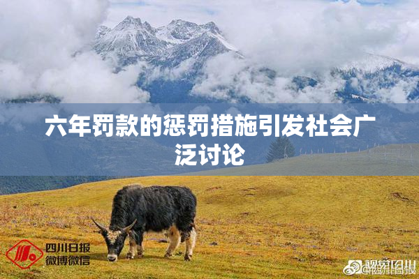 六年罚款的惩罚措施引发社会广泛讨论