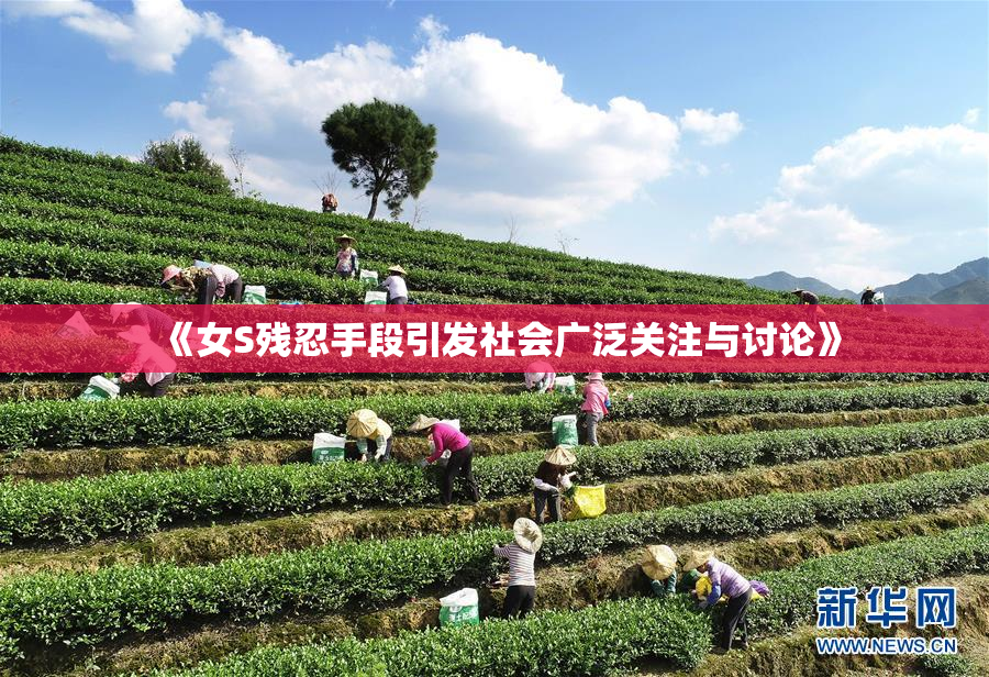 《女S残忍手段引发社会广泛关注与讨论》