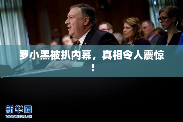 罗小黑被扒内幕，真相令人震惊！