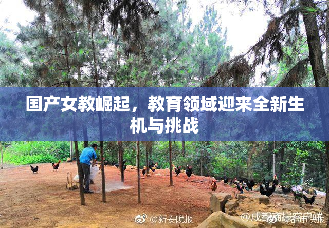 国产女教崛起，教育领域迎来全新生机与挑战