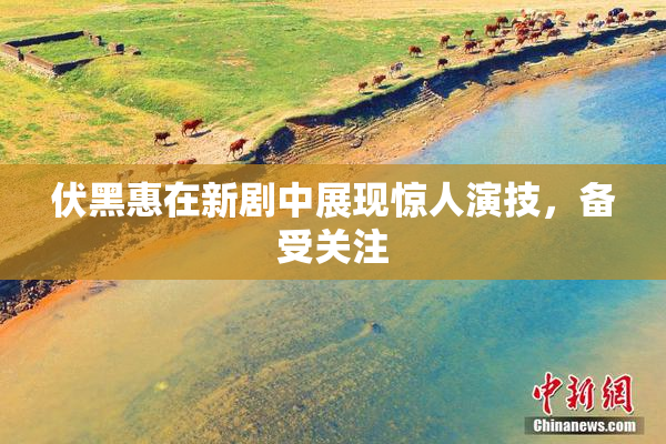 伏黑惠在新剧中展现惊人演技，备受关注