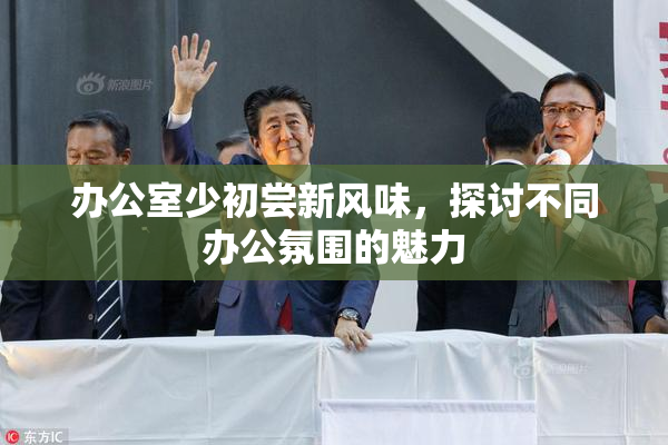 办公室少初尝新风味，探讨不同办公氛围的魅力