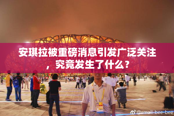 安琪拉被重磅消息引发广泛关注，究竟发生了什么？