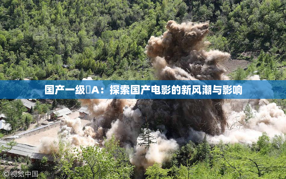 国产一级婬A：探索国产电影的新风潮与影响