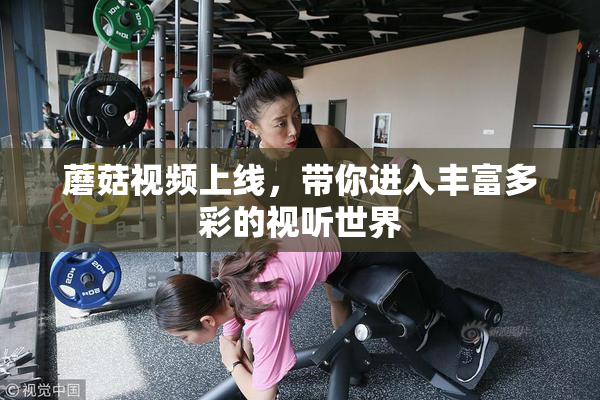 蘑菇视频上线，带你进入丰富多彩的视听世界