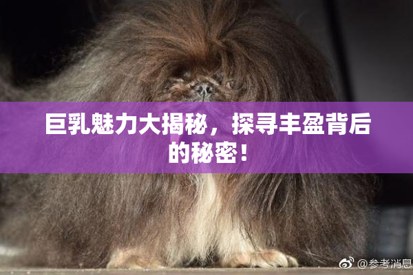 巨乳魅力大揭秘，探寻丰盈背后的秘密！