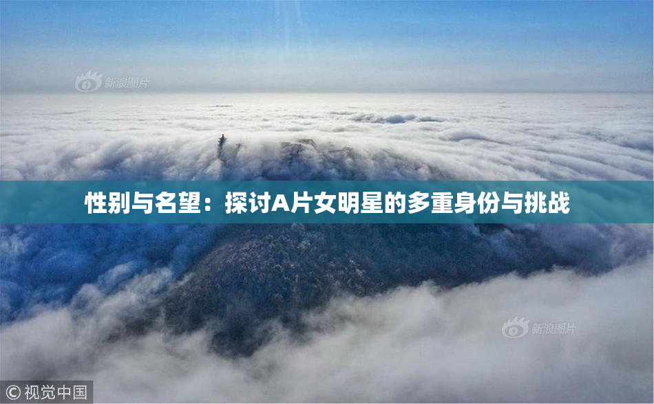 性别与名望：探讨A片女明星的多重身份与挑战