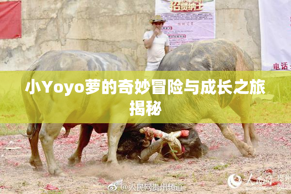 小Yoyo萝的奇妙冒险与成长之旅揭秘