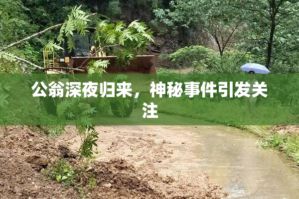 公翁深夜归来，神秘事件引发关注