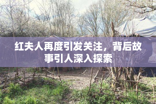 红夫人再度引发关注，背后故事引人深入探索