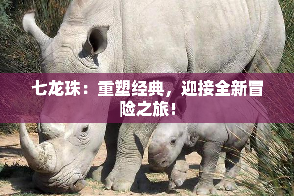 七龙珠：重塑经典，迎接全新冒险之旅！