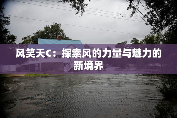 风笑天C：探索风的力量与魅力的新境界