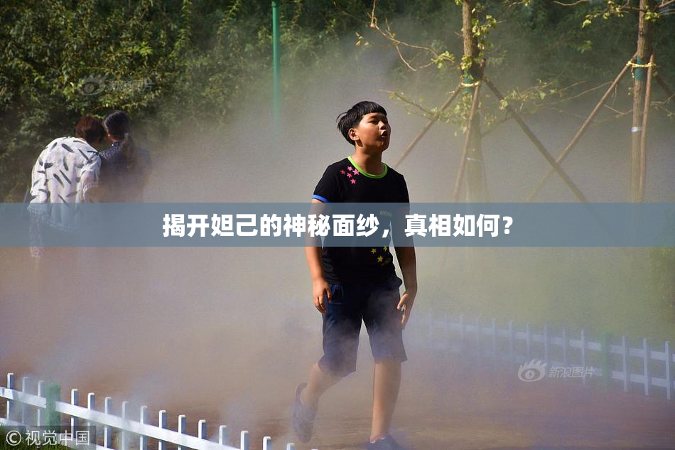 揭开妲己的神秘面纱，真相如何？