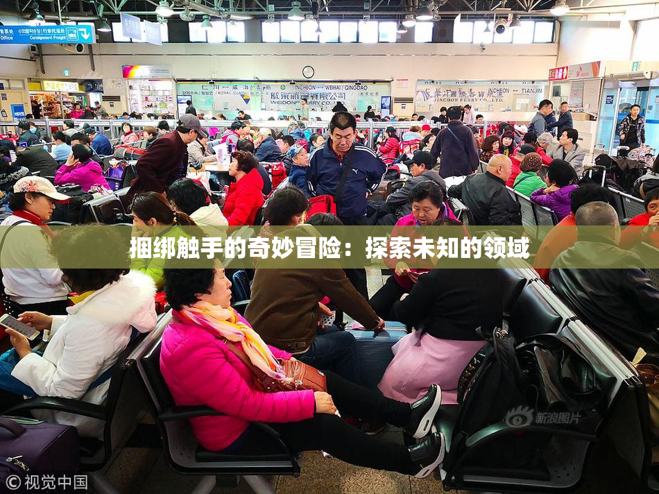 捆绑触手的奇妙冒险：探索未知的领域