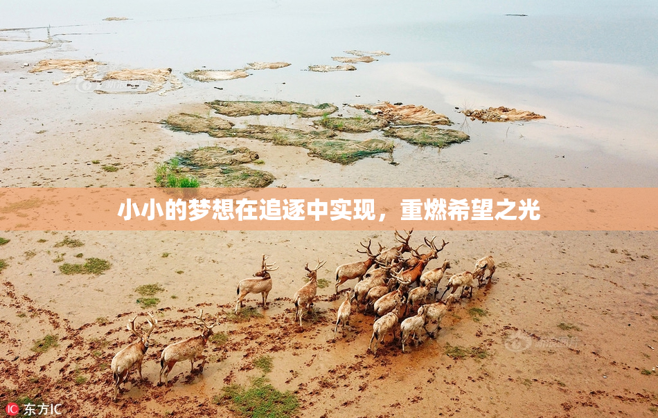小小的梦想在追逐中实现，重燃希望之光