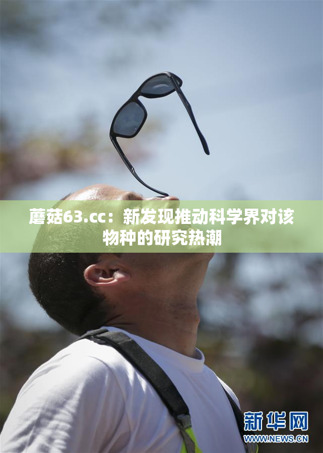 蘑菇63.㏄：新发现推动科学界对该物种的研究热潮